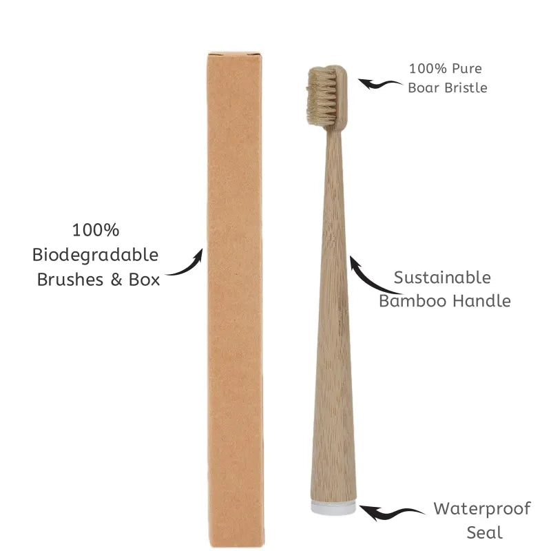 Natural Boar Bristle & Bamboo Toothbrush (4)