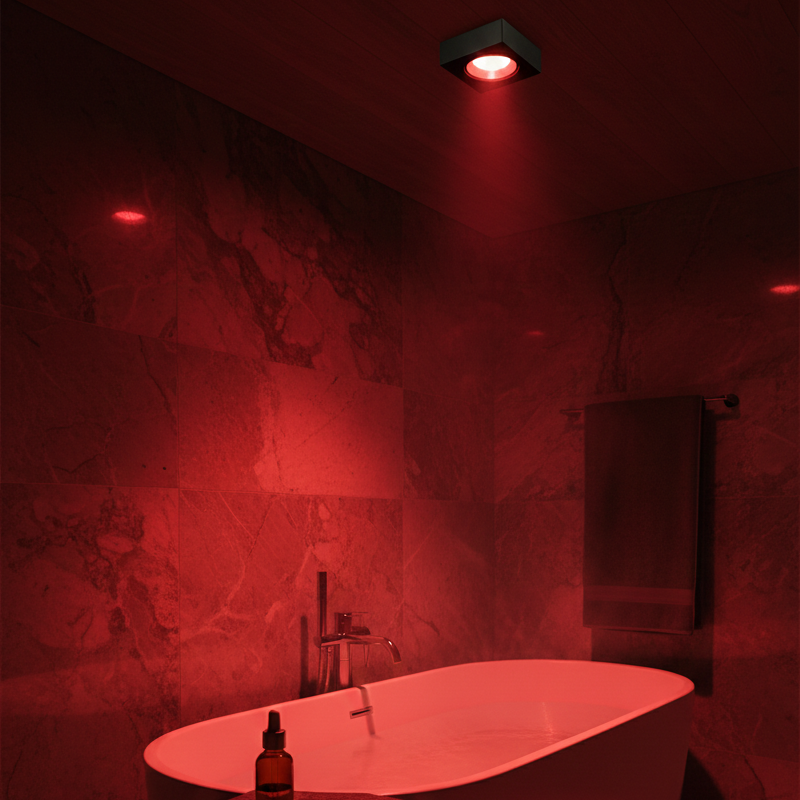 Circadian Light Bulb